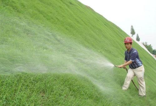 草坪种植基地在种植之前应该怎样处理土壤？